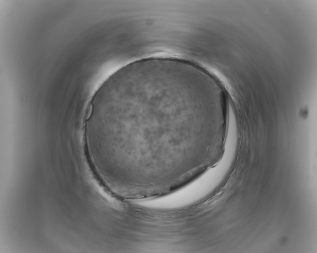 X0000092001375200709131506