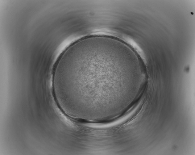 X0000092001376200709131506