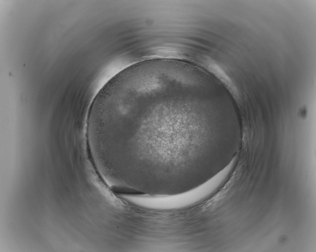 X0000092001378200709131506