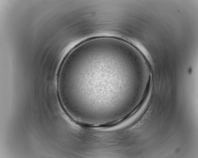 X0000092001380200709131506