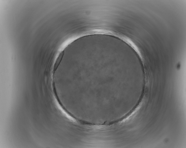 X0000092001381200709131506