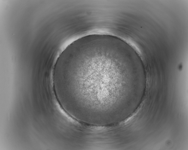 X0000092001382200709131506