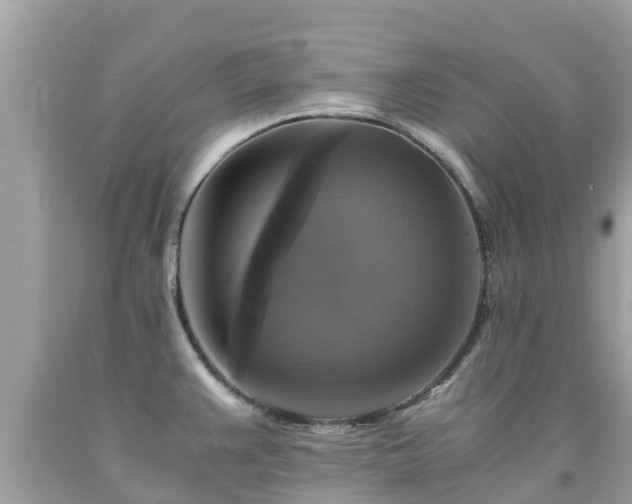 X0000092001383200709131506