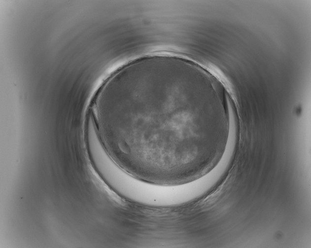 X0000092001384200709131506