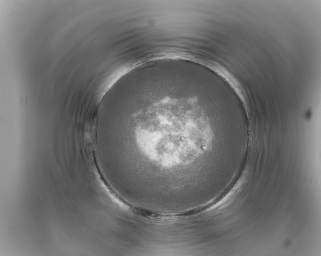 X0000092001385200709131506