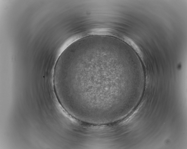 X0000092001386200709131506