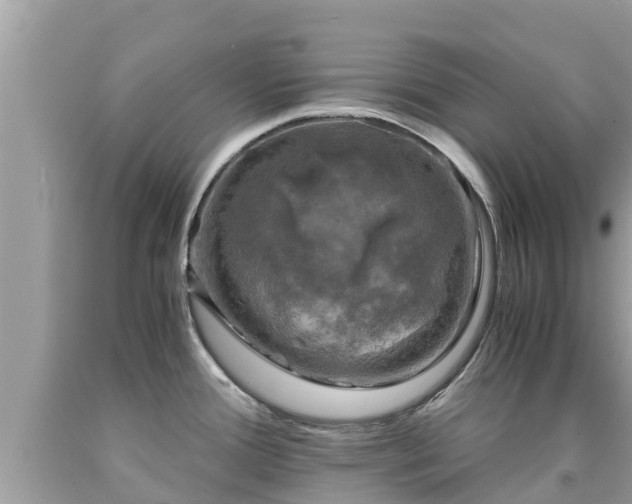 X0000092001388200709131506