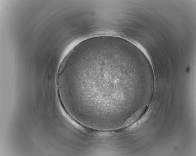 X0000092001389200709131506