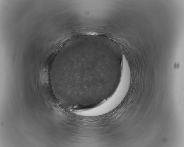 X0000092001394200709131505