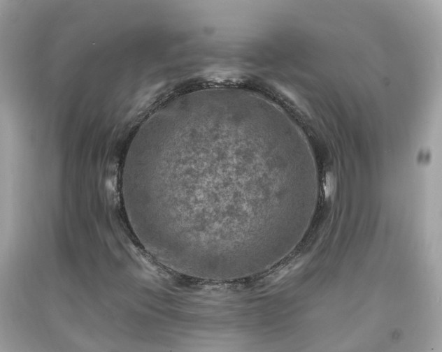 X0000092001396200709131505