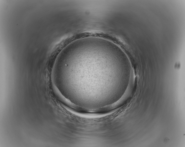 X0000092001398200709131505