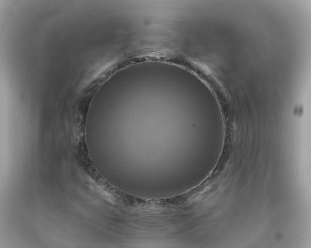 X0000092001399200709131505