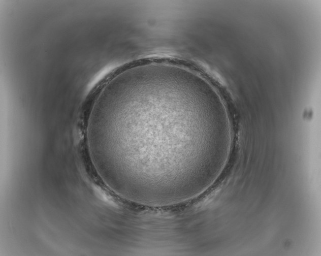 X0000092001400200709131505