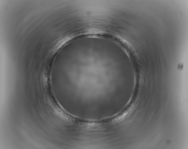 X0000092001401200709131505