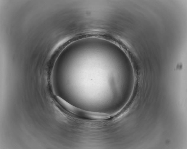 X0000092001402200709131505