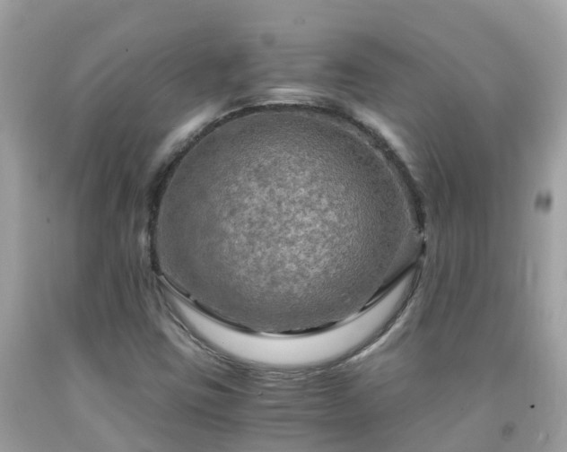 X0000092001403200709131505