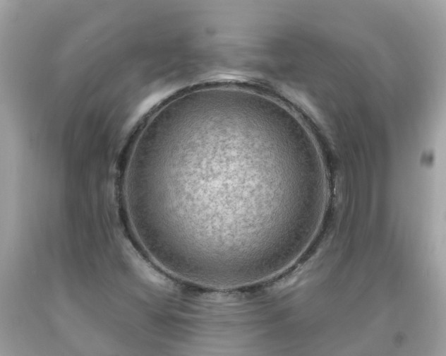 X0000092001404200709131505