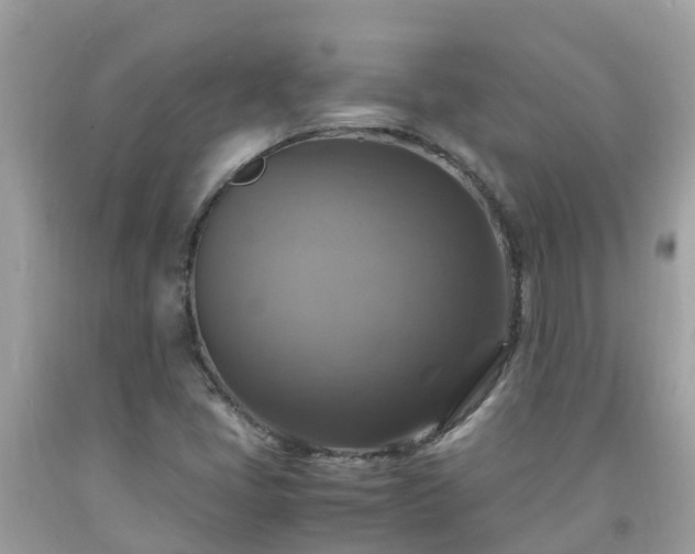 X0000092001405200709131505