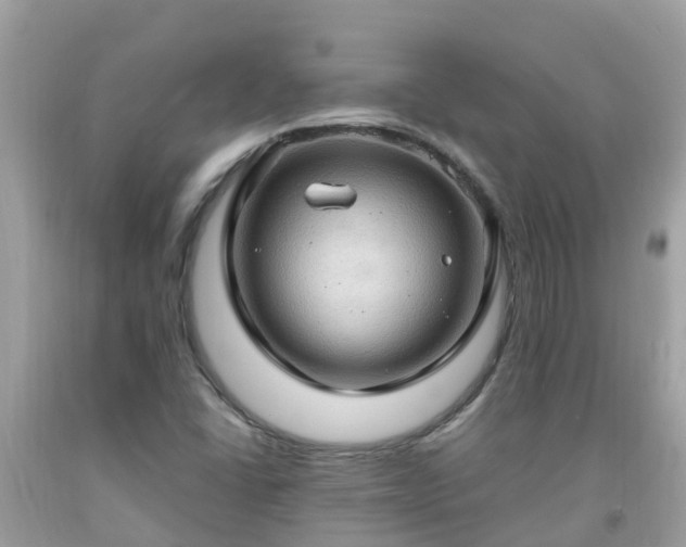 X0000092001406200709131505