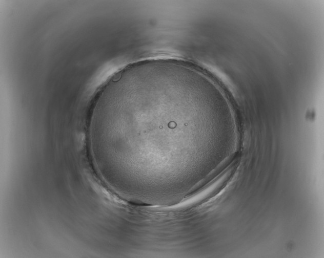 X0000092001407200709131505