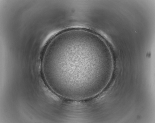 X0000092001408200709131505