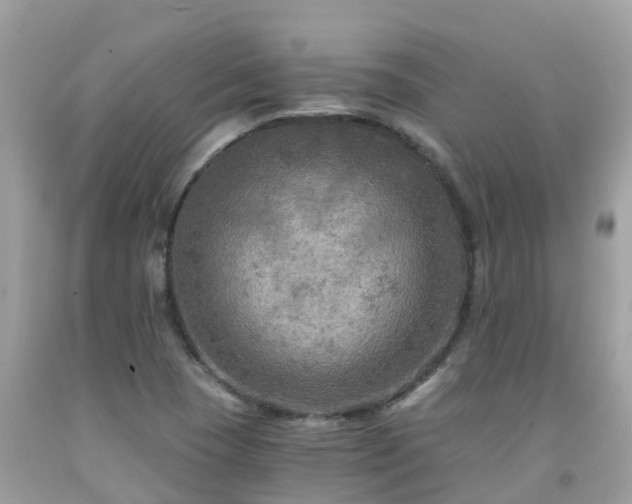 X0000092001409200709131505