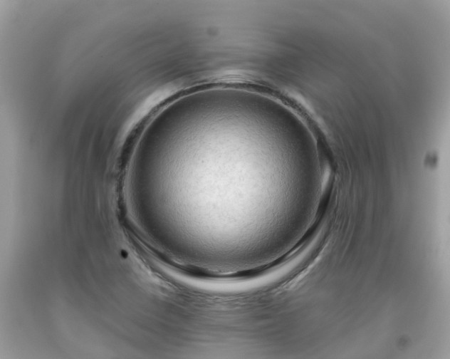 X0000092001410200709131505