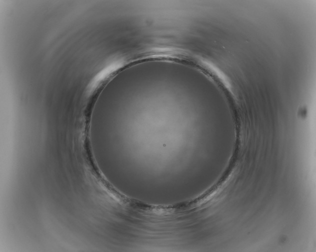 X0000092001411200709131505