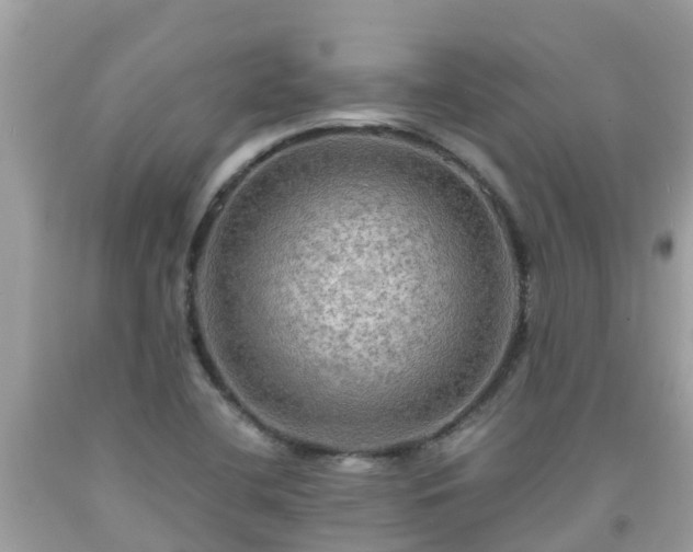 X0000092001412200709131505