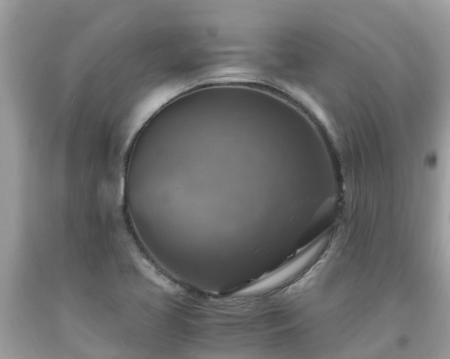 X0000092001413200709131505