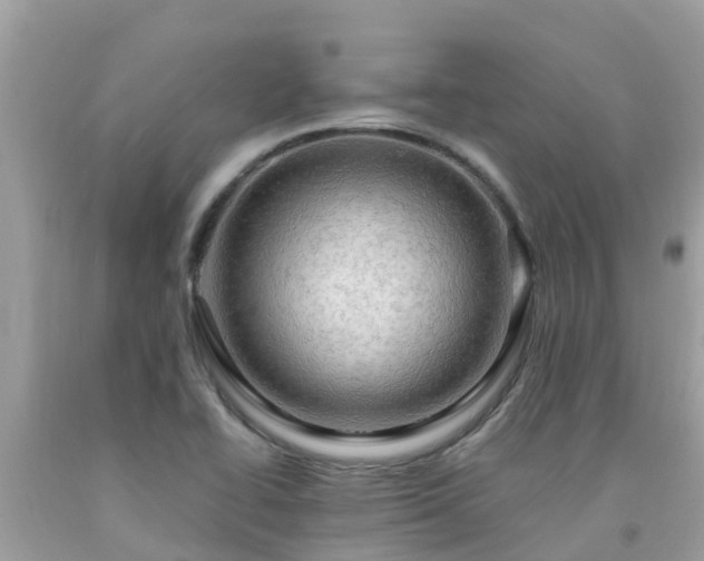 X0000092001414200709131505