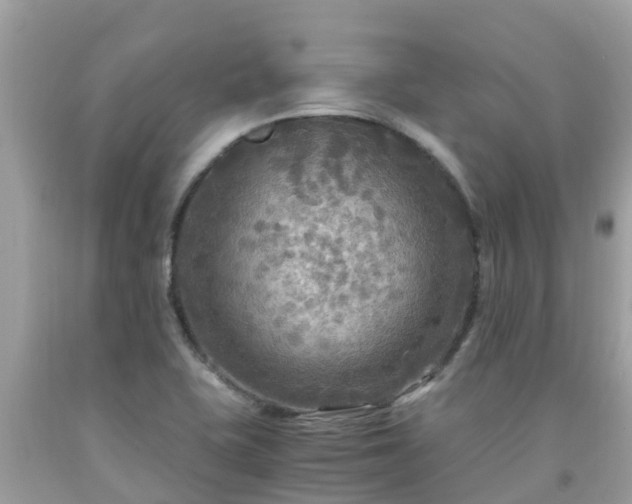 X0000092001415200709131505