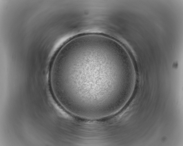 X0000092001416200709131505