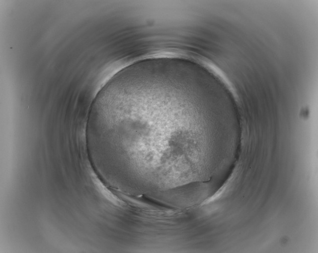 X0000092001417200709131505