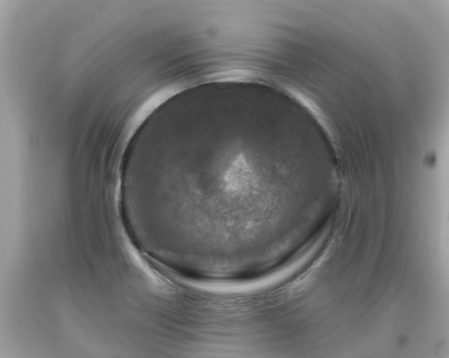 X0000092001418200709131505