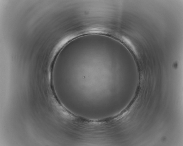 X0000092001419200709131505