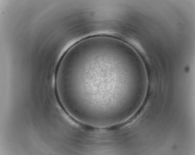 X0000092001420200709131505