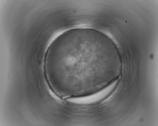 X0000092001421200709131505