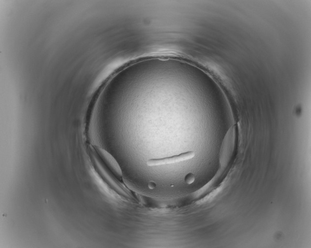 X0000092001422200709131505