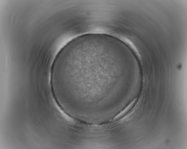 X0000092001424200709131505