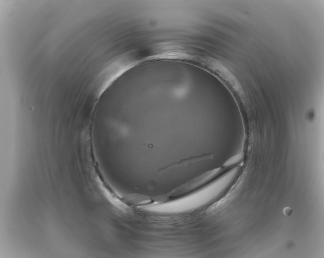 X0000092001425200709131505