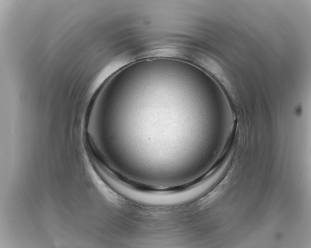 X0000092001426200709131505