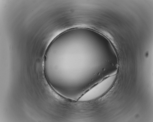 X0000092001428200709131505