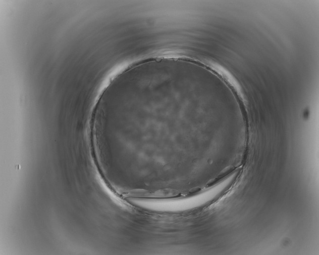 X0000092001429200709131505