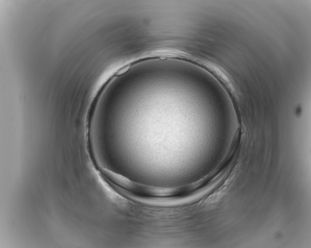 X0000092001430200709131505