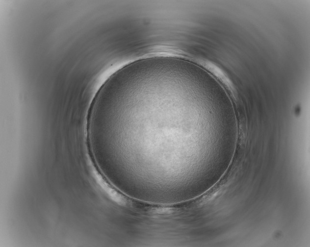 X0000092001431200709131505