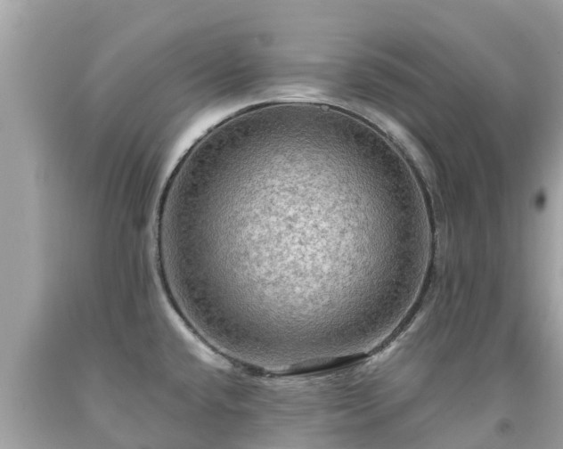 X0000092001432200709131505