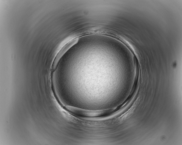 X0000092001434200709131505