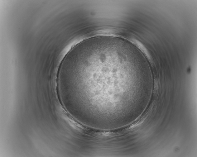 X0000092001435200709131506