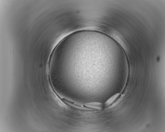 X0000092001436200709131506